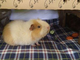 2020-11-30-17-56-44 Cherie.jpg